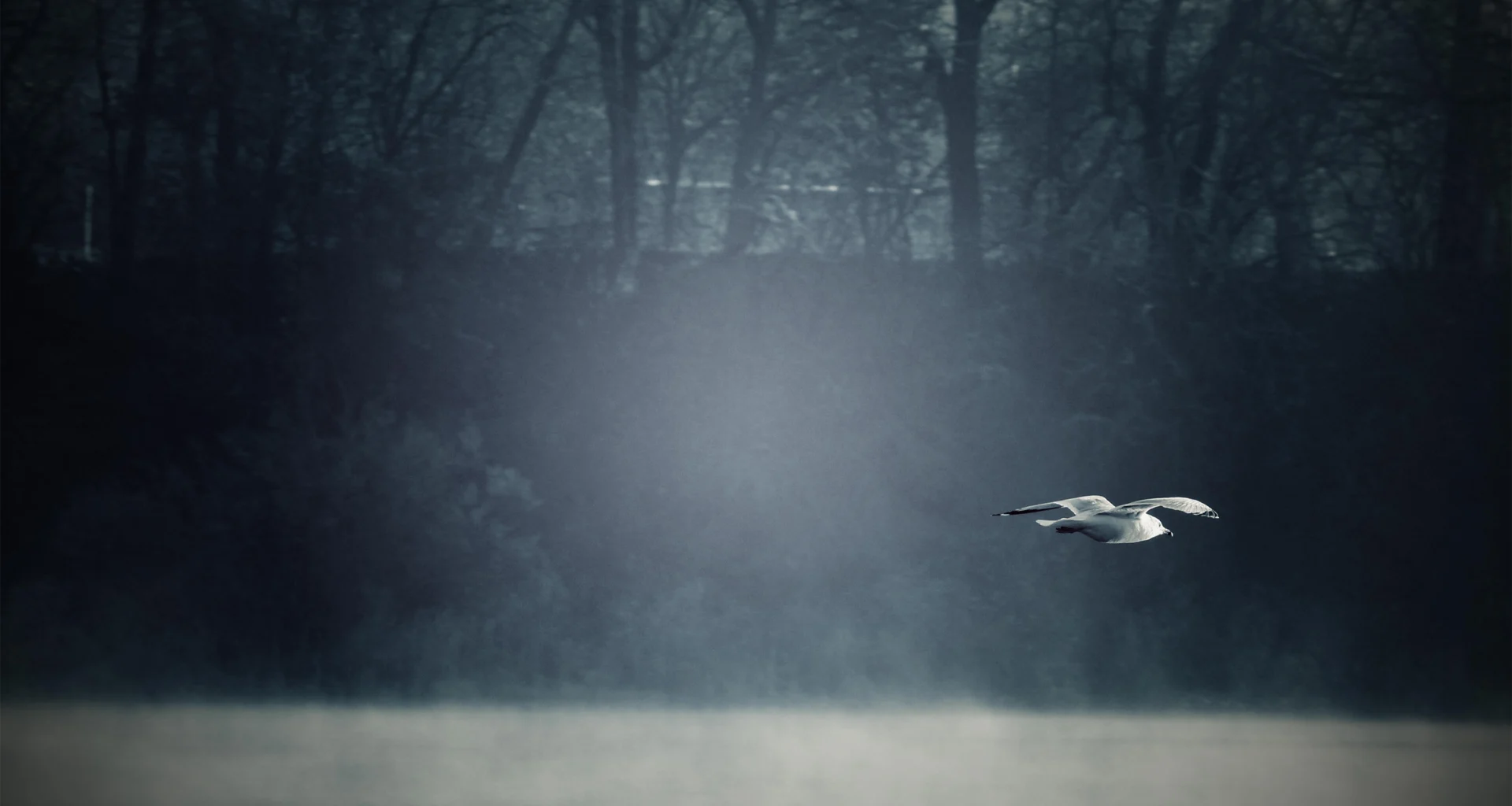 Rüyada küs olduğun birini ölü görmek ne anlama gelir? İslami ve psikolojik tabirler.