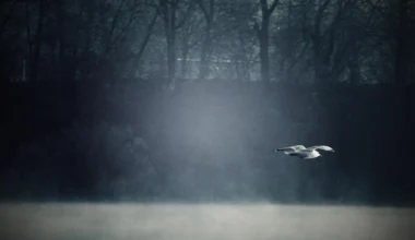 Rüyada küs olduğun birini ölü görmek ne anlama gelir? İslami ve psikolojik tabirler.
