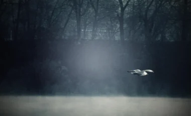 Rüyada küs olduğun birini ölü görmek ne anlama gelir? İslami ve psikolojik tabirler.