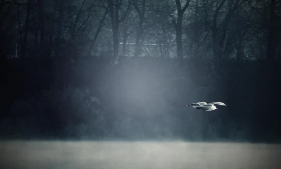 Rüyada küs olduğun birini ölü görmek ne anlama gelir? İslami ve psikolojik tabirler.