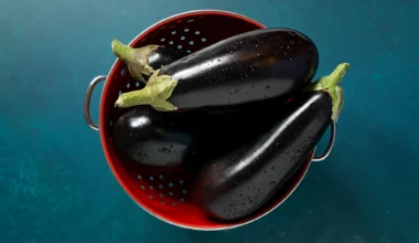 Rüyada patlıcan toplamak İslami olarak nasıl yorumlanır?